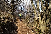 37 Salendo nel bosco